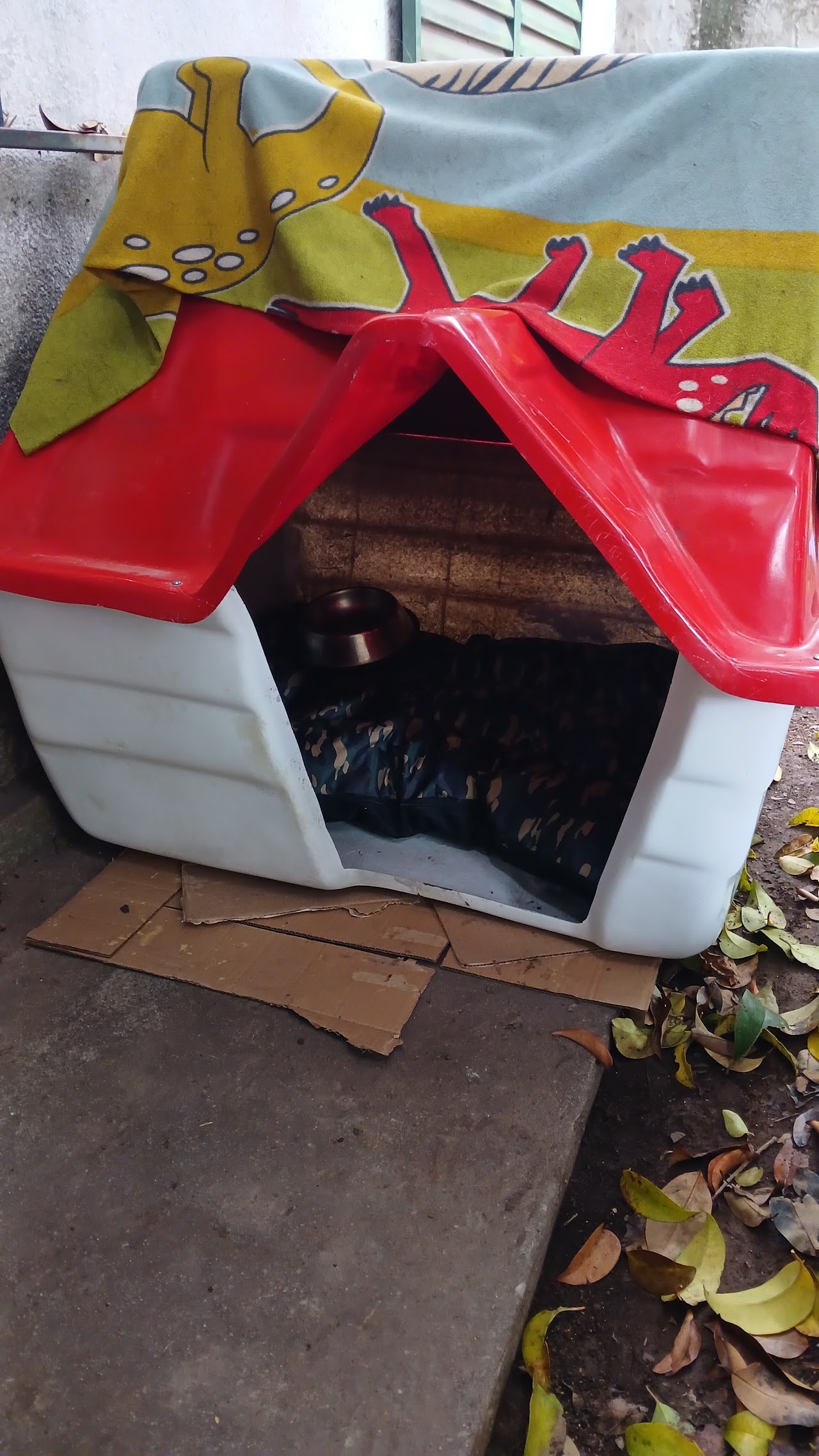 Cuchas y accesorios para mascotas en Pet Shop Rocky's Boutique