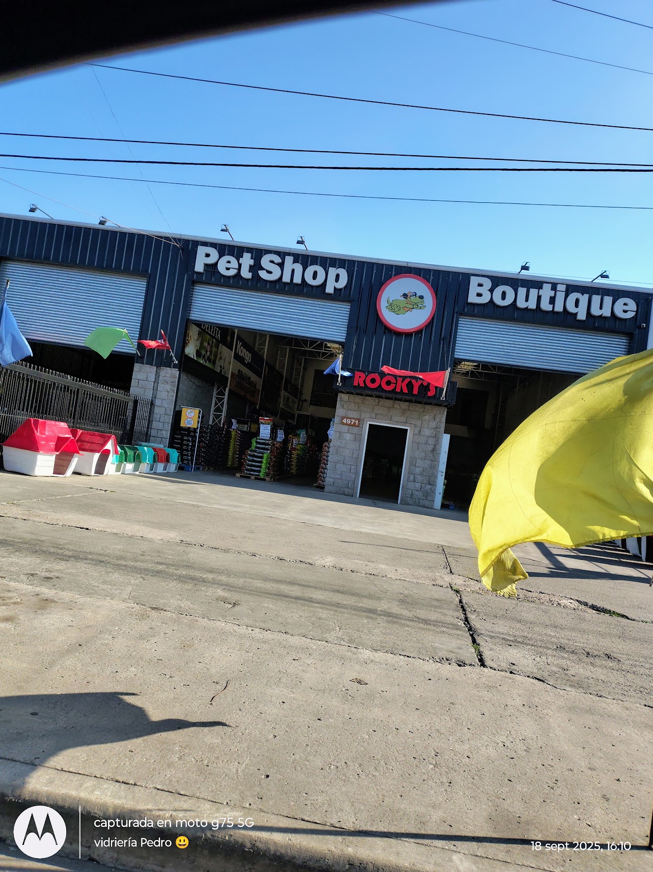 Local de Pet Shop Rocky's Boutique en San Miguel